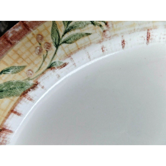 CORELLE 9 PC. DINNERWARE SET in the "SPICEBERRY" PATTERN