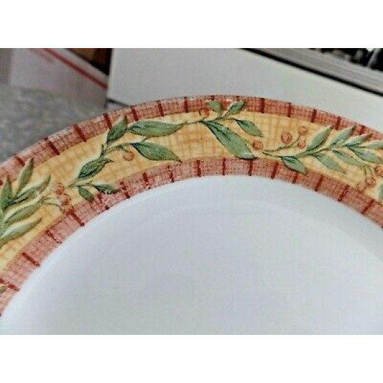 CORELLE 9 PC. DINNERWARE SET in the "SPICEBERRY" PATTERN