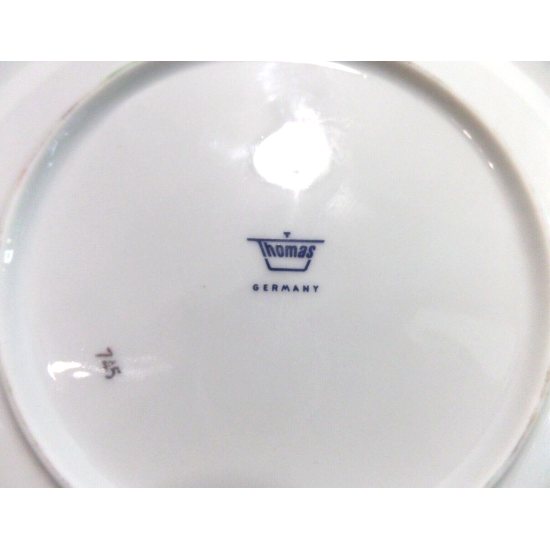 THOMAS FINE CHINA GERMANY (7) PC. PLACE SETTING in MEDALLION THIN PLATINUM 745