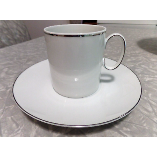 THOMAS FINE CHINA GERMANY (7) PC. PLACE SETTING in MEDALLION THIN PLATINUM 745