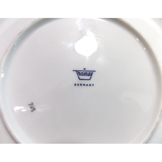 THOMAS FINE CHINA GERMANY (7) PC. PLACE SETTING in MEDALLION THIN PLATINUM 745