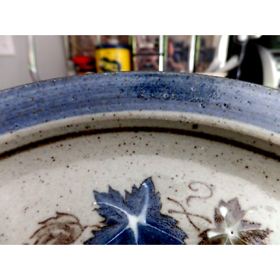 D FALL LEAVES 8 1/4" LUNCH PLATES