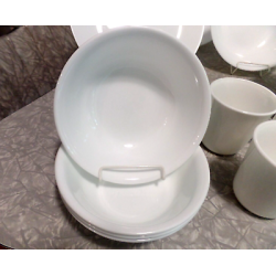 CORELLE by CORNING 19 PC. DINNERWARE SET in the CONTEMPORARY  "WINTER FROST"