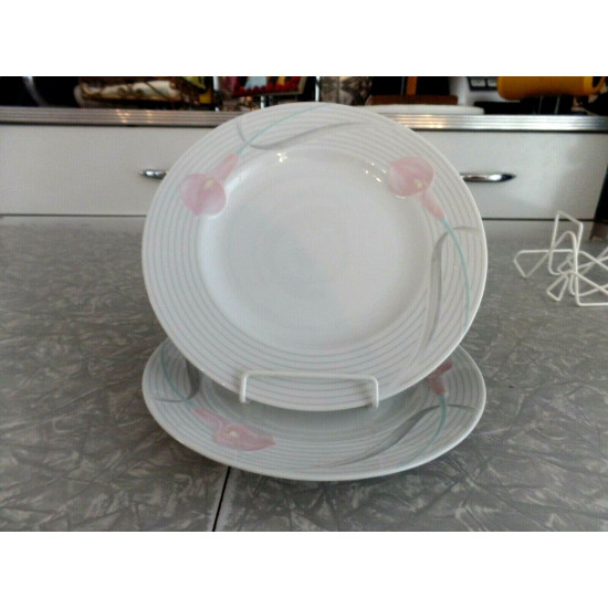 2 PC. MIKASA FINE CHINA 8" SALAD/LUNCH PLATE SET in the "SERENADE" PINK PATTERN
