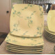 NEVR USED"TRISH RICHMAN"SPRING LIME STARDUST BLUE TURQUOISE 24PC. DINNERWARE SET