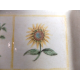 A SQUARE SERVING PLATTER in TROPICAL "VERANO TILE" PATTERN