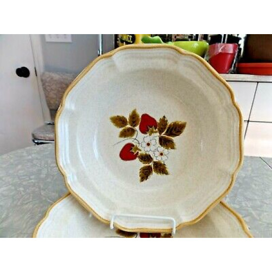 MIKASA OVEN to TABLE (2) PASTA/SOUP BOWLS in the "STRAWBERRY FESTIVAL" PATTERN