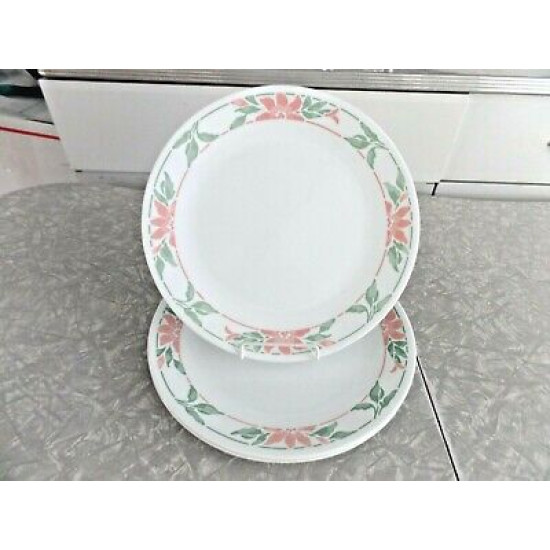 CORELLE 2 PC. 10 1/4" DINNER PLATE SET in the "ISLAND BREEZE" FLORAL PATTERN
