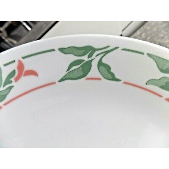 CORELLE 2 PC. 10 1/4" DINNER PLATE SET in the "ISLAND BREEZE" FLORAL PATTERN
